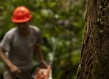 FSC Data Standard