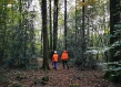 two workers in a forest
