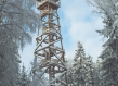 Watchtower in a forest