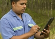 Worker standing in a forest doing an audit