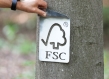 FSC logo placed upon brown tree trunk 