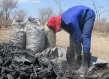 worker bending over to inspect pile of charcoal