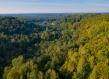 beautiful drone shot of Lithuanian forest