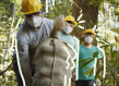 Smallholders