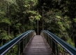 Flagship publication bridge