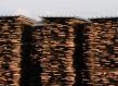 Large stacks of wooden pallets are shown at a lumber yard, representing the topic of sustainable supply chain certifications.