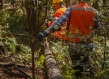 Two men wearing protective equipment walk beside a fallen log in a forest.