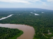 Forest Brazil