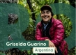 Griselda