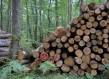 Forest France