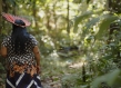 Indigenous woman Brazil