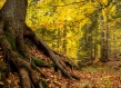 Romania