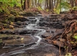 Ecosystem services