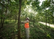 Worker with orange vest