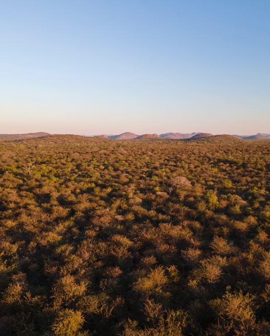Namibia biomass