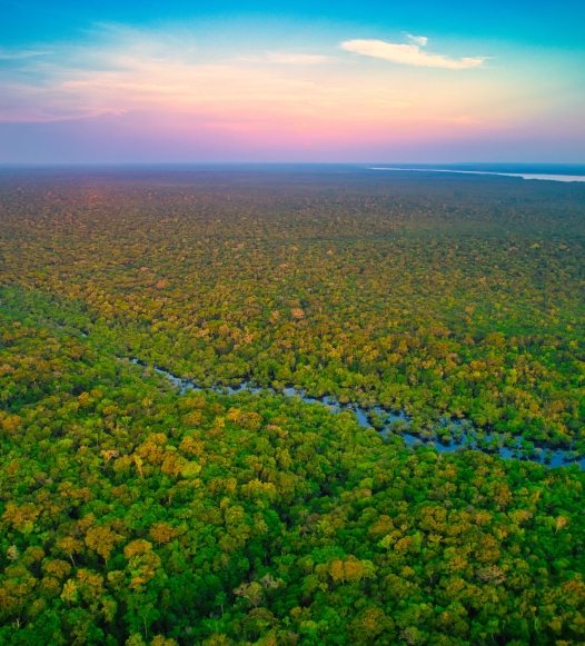 Amazon Brazil