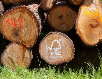 Pile of logs with FSC stamp