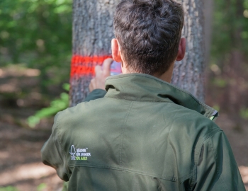Man with FSC jacket spray painting tree