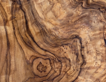  Close-up of wood texture