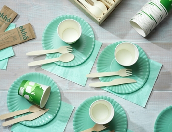 Picnic scene with paper plates and wooden cutlery 