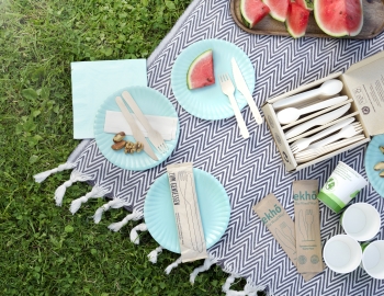 Picnic scene with paper cups, plates and cutlery. 