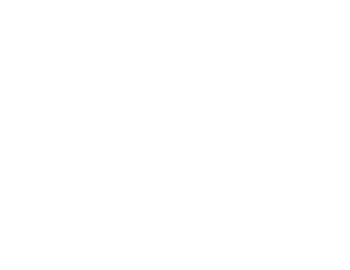VolkerWeseels logo