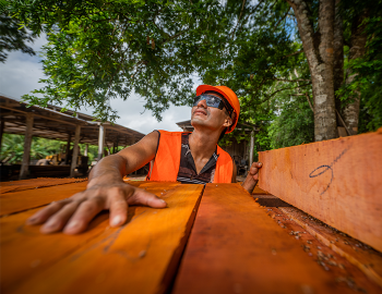 worker with vest and hard hat gazes upward with hand placed on pile of wood