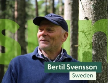 Bertil