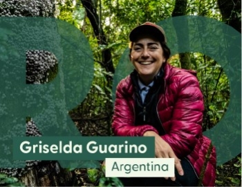 Griselda