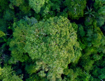 Brazil