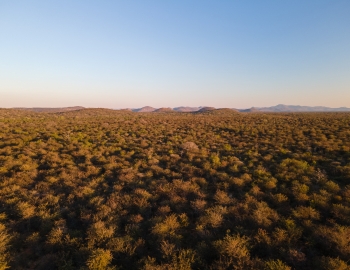Namibia biomass