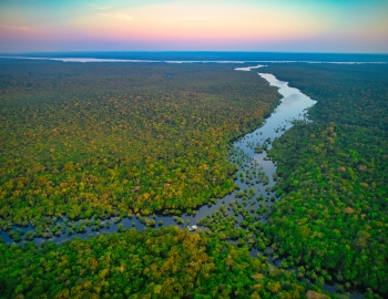 Brazil Amazon