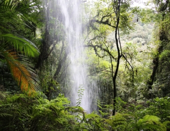 solution to climate change siege