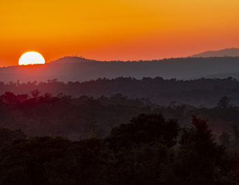 Atlantic forest Argentina