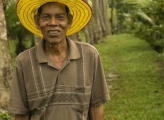 Thai man in hat stands in tree plantation