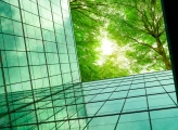 Upwards shot of glass building leading up to upwards shot of forest in spring 