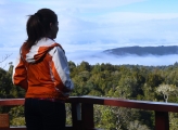 Woman looks out across foggy canopy of forest in Chile