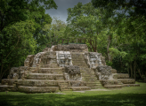 Shot of Mayan ruins in Guatemalan forest