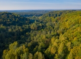 beautiful drone shot of Lithuanian forest