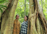 two Vietnamese women stand between tall trees in forest