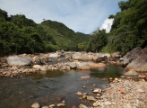 stream and forests in Viet Nam