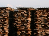 Large stacks of wooden pallets are shown at a lumber yard, representing the topic of sustainable supply chain certifications.