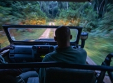 Forest manager