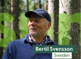 Bertil