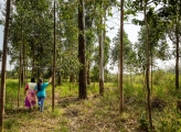 Community members walking through forest in Kenya