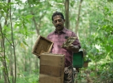 Smallholder