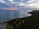 Forest and seascape on Hiiumaa Island, Estonia 