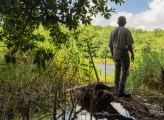 A person faces away from the camera and observes a marshlike waterway from atop a fallen log.