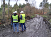 Auditors at work in Galician forest