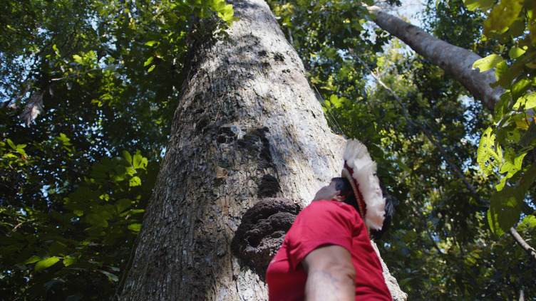 Indigenous peoples Brazil